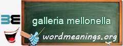 WordMeaning blackboard for galleria mellonella